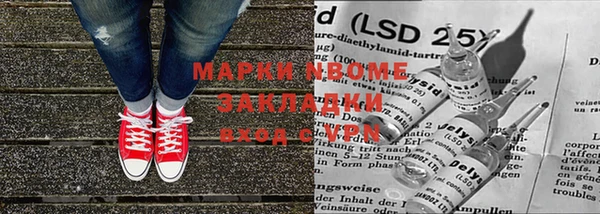 трава Аркадак