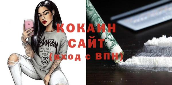 индика Армянск