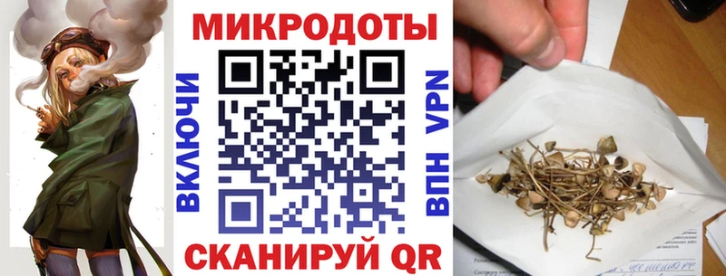 гидра ссылка  Балей  Псилоцибиновые грибы Cubensis 